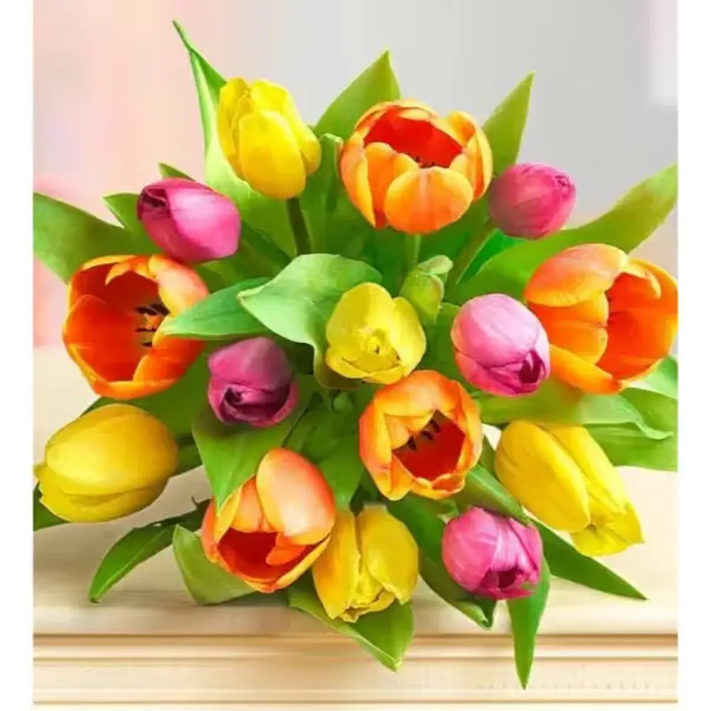 Assorted Tulip Bouquet, 15 Stems